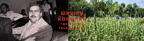 jwh Белокуриха